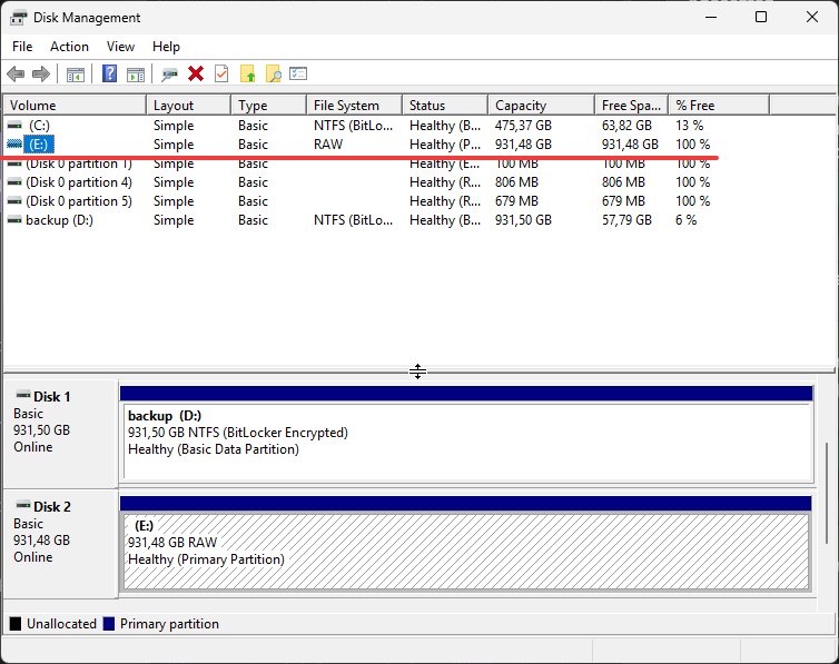 Gestor de Discos — Disk 2 aparece como filesystem RAW